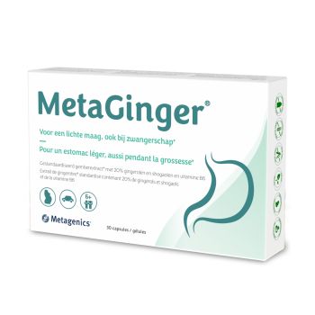 MetaGinger